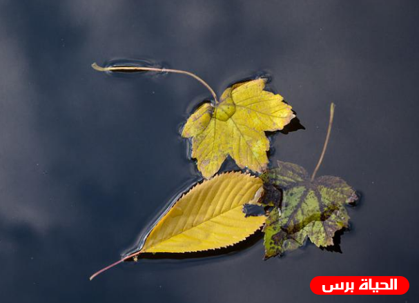 تشرين الأول أي شهر بالإنجليزي